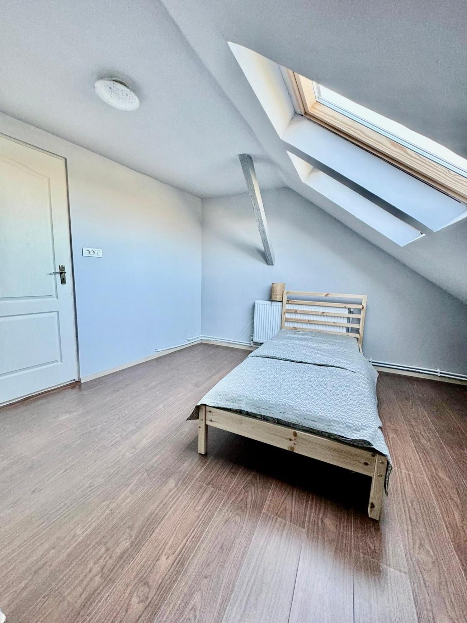 Serbian House 蒂米什瓦拉 外观 照片